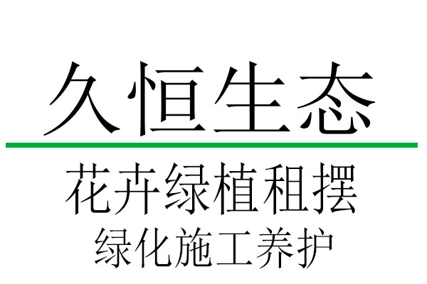 秀洲租花卉